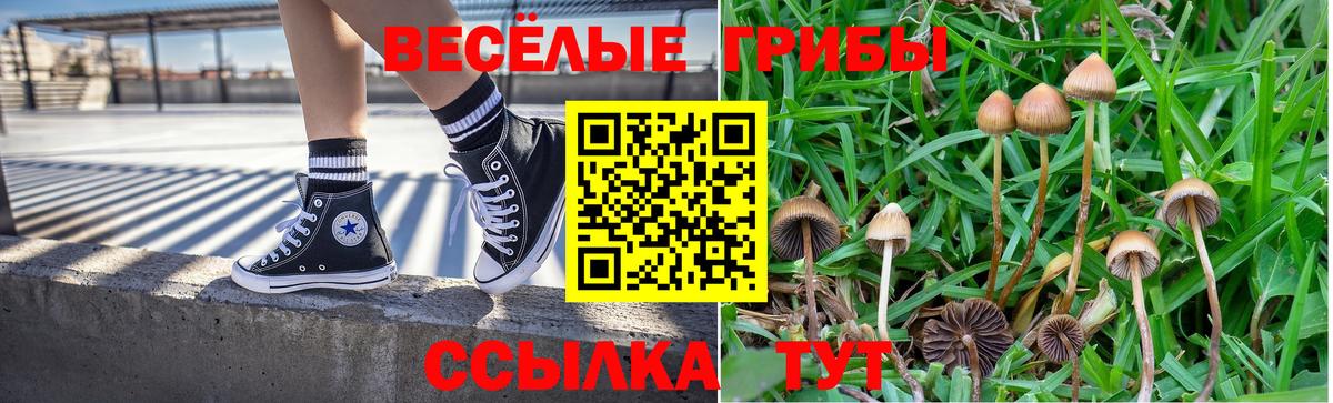 Ишимбай  Псилоцибиновые грибы мухоморы  Псилоцибиновые грибы мицелий  Вход с VPN 