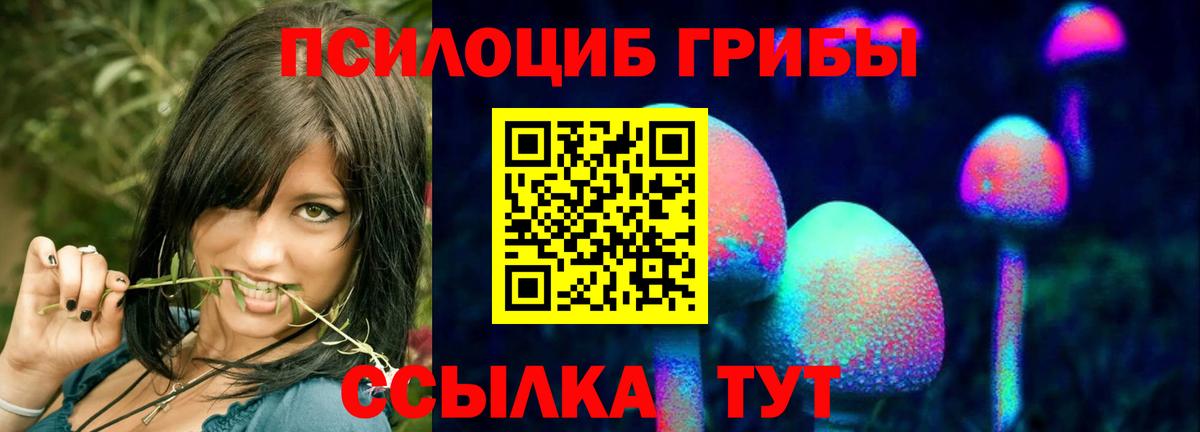 Галлюциногенные грибы мицелий Ишимбай